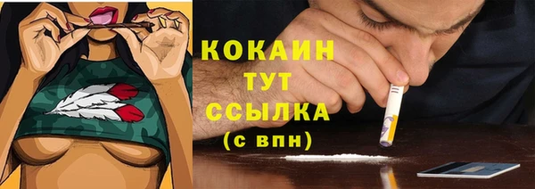 spice Магас
