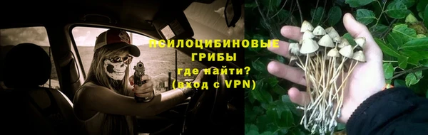 Альфа ПВП Алзамай