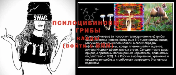 Альфа ПВП Алзамай