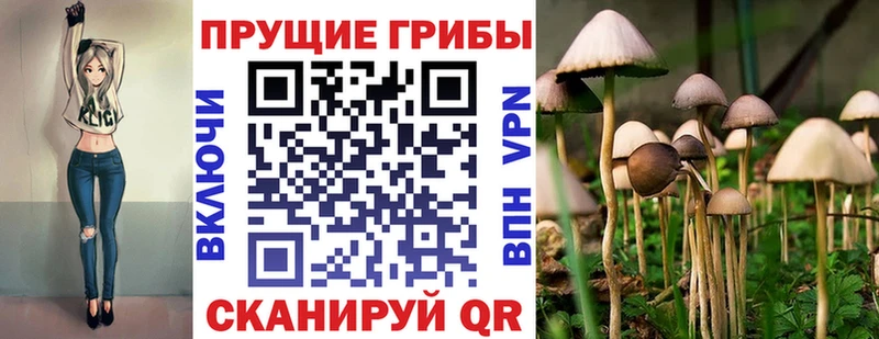 Псилоцибиновые грибы Psilocybe  Электрогорск 