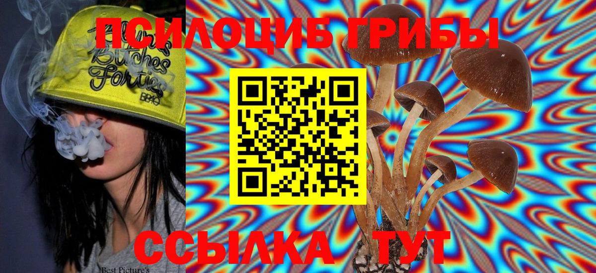Галлюциногенные грибы Cubensis Электрогорск