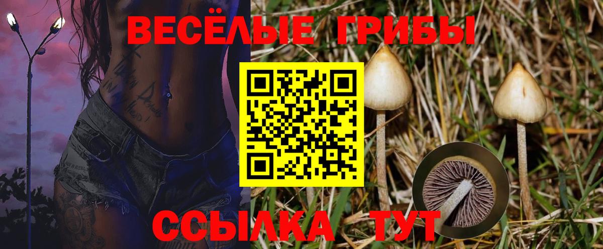 Электрогорск  Псилоцибиновые грибы Magic Shrooms  Вход с VPN  Галлюциногенные грибы Magic Shrooms 